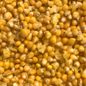 Prepared Maize