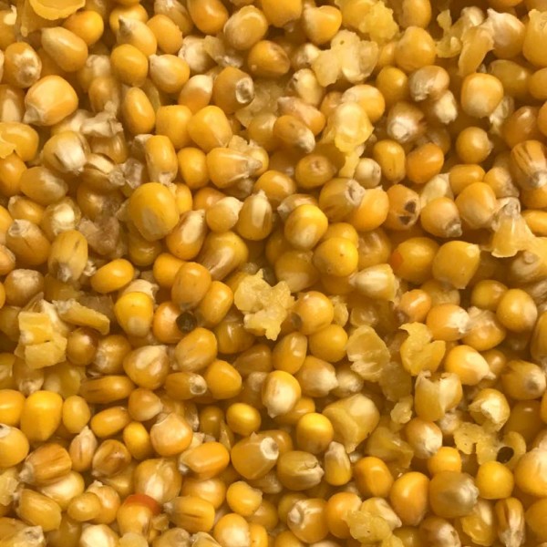 Prepared Maize